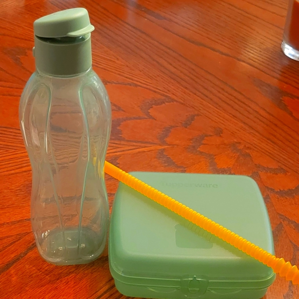 Tupperware Sandwich Keeper Lunch Set